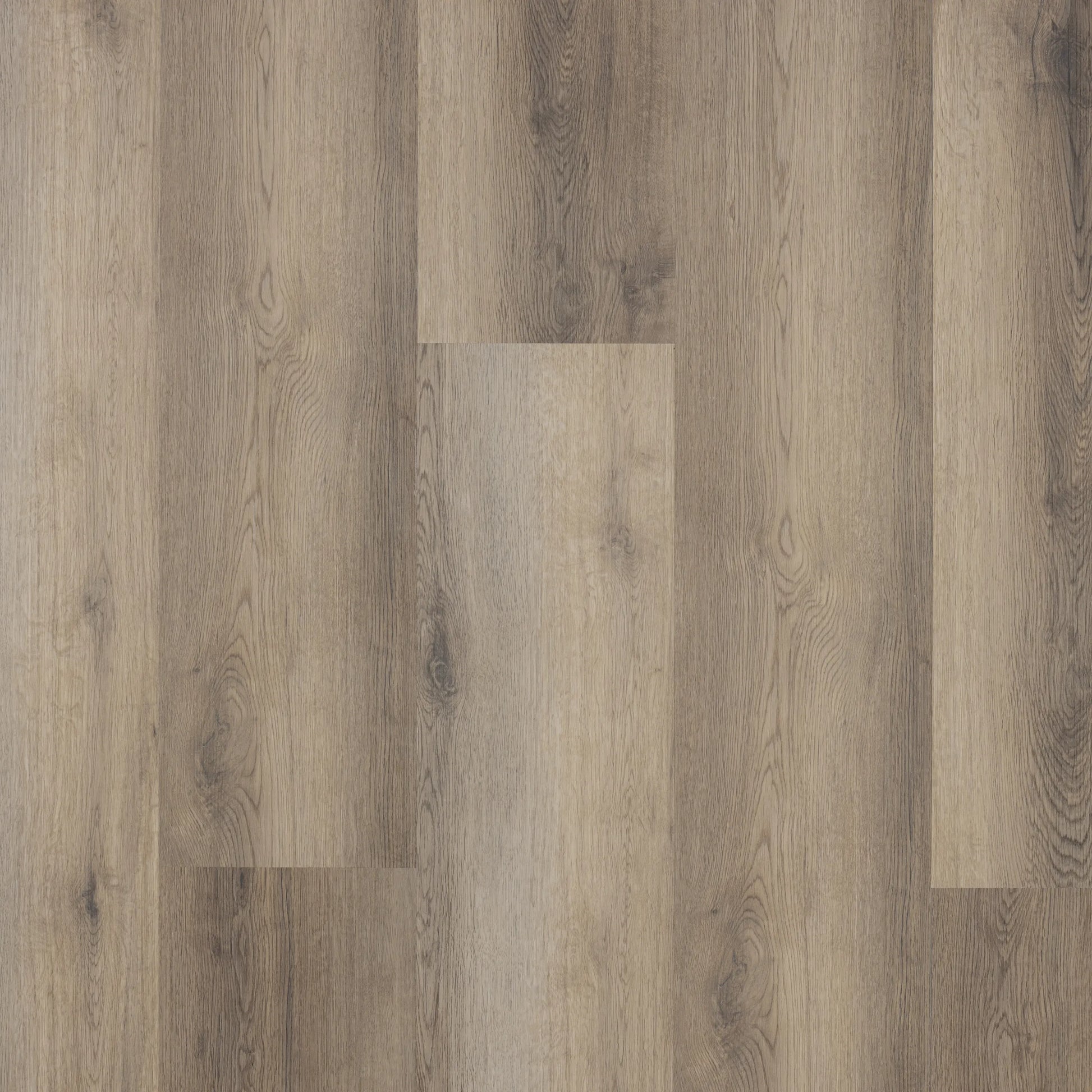 Castell Supreme 302 Spc 003 Salsa Taupe