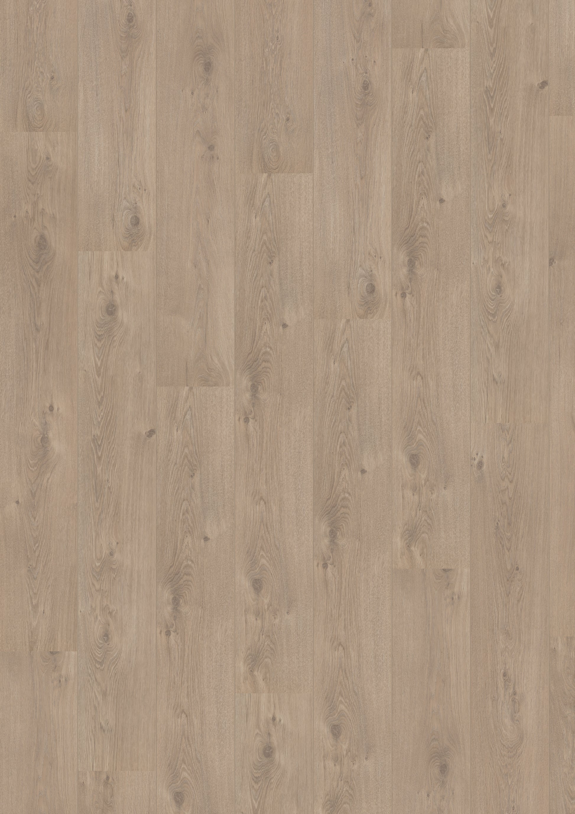 Royal V2 Puglia 4941 – Aquaprotect