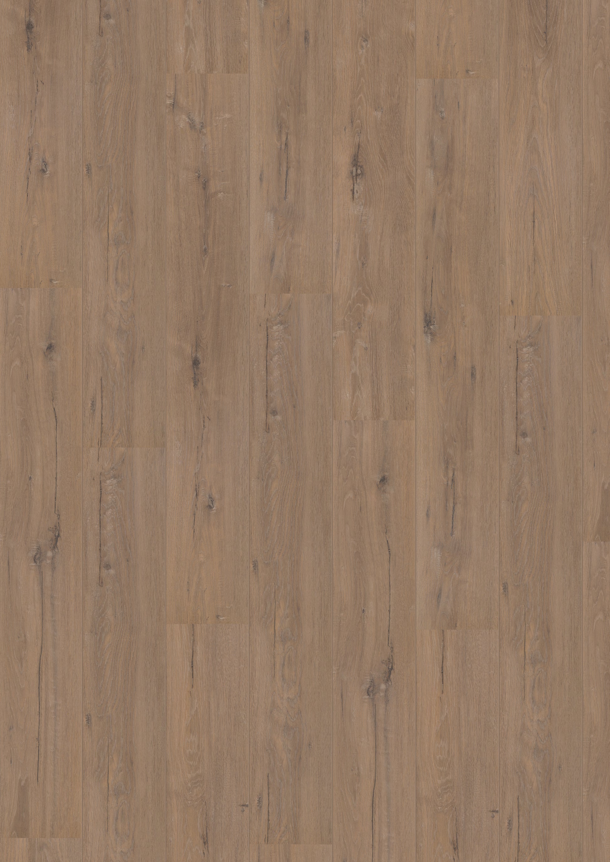 Royal V2 Toscane Eik 902
