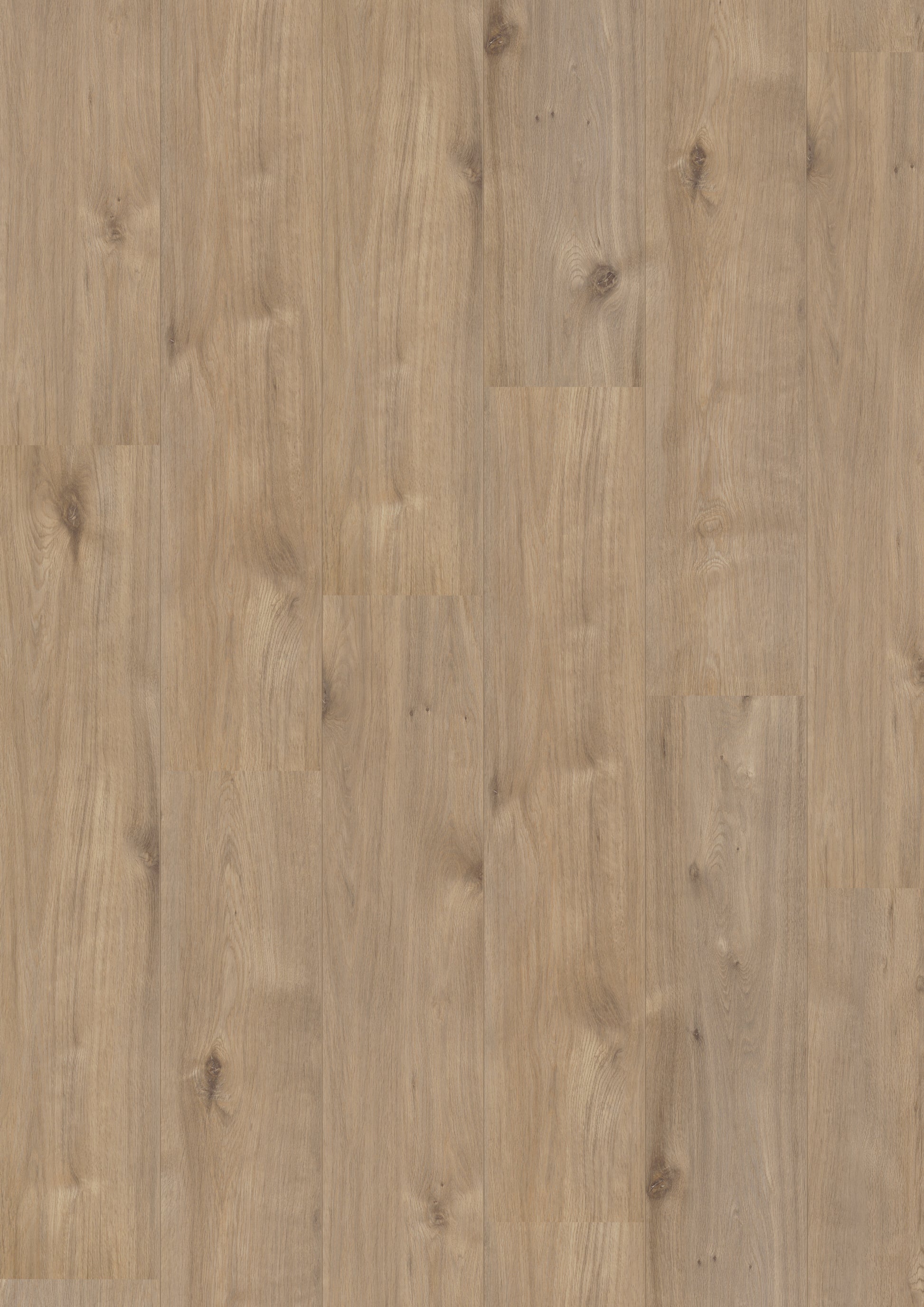 Royal XL V2 Alpe d’Huez 969 – Aquaprotect
