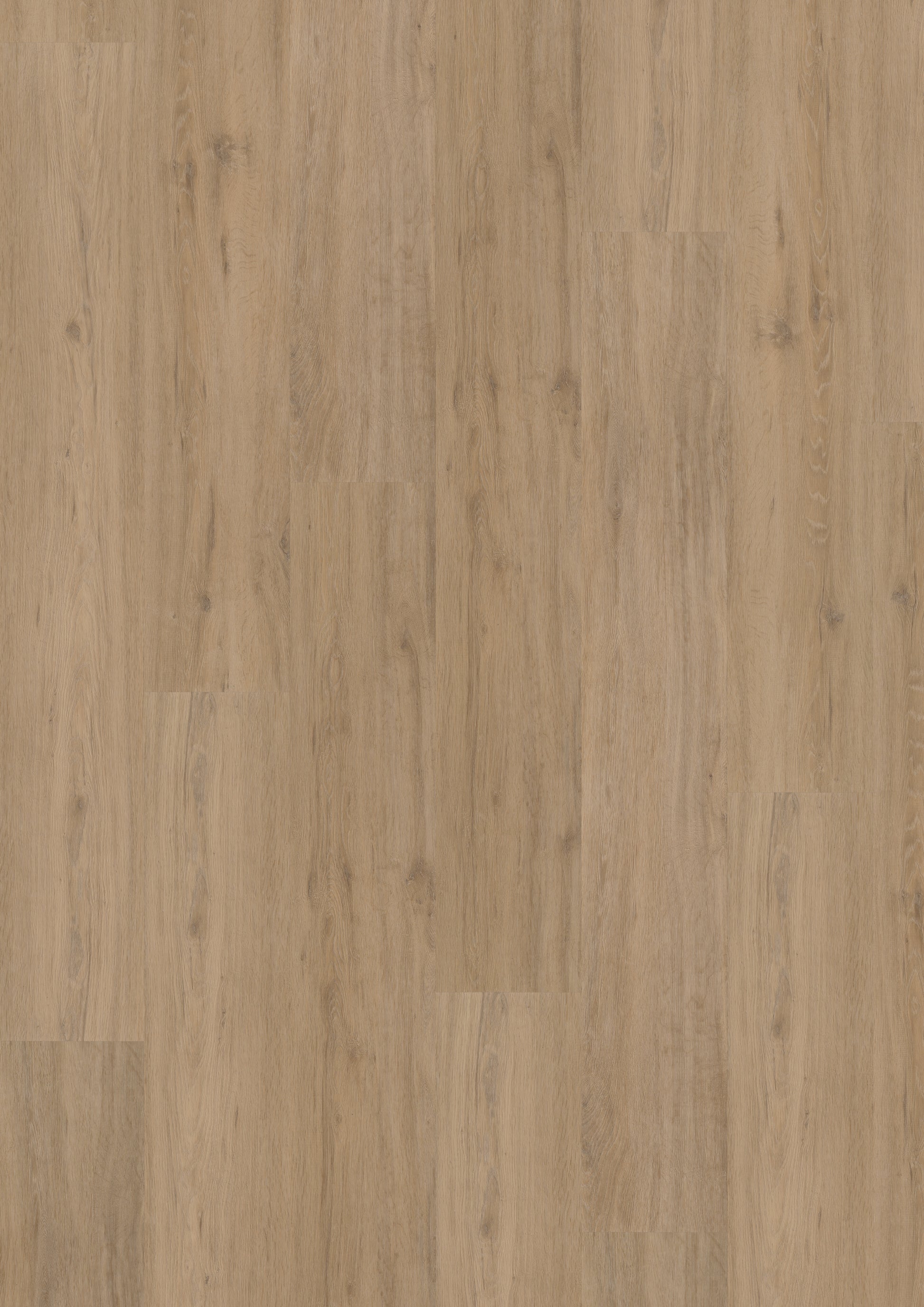 Fusion Superior XL Gotham Oak Natural (Dryback)