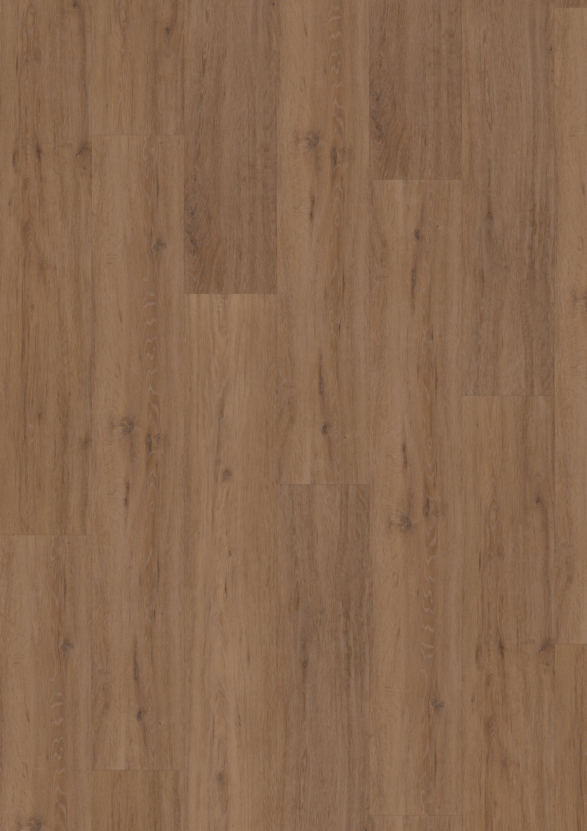 Fusion Superior XL Gotham Oak Honey (Dryback)