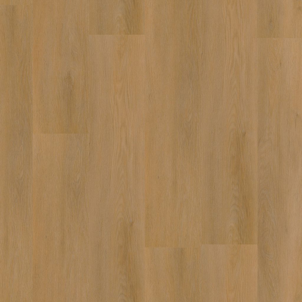 Newham Dryback Dark Oak