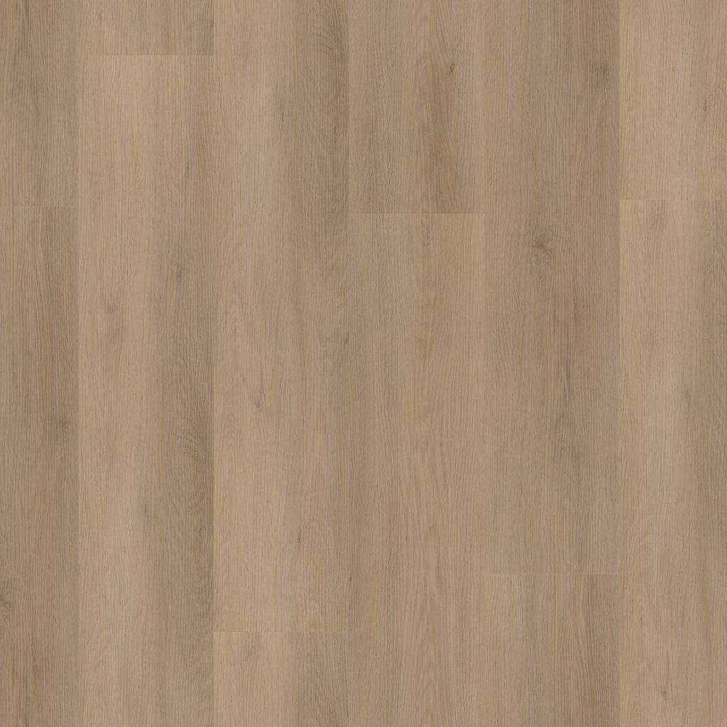 Newham Dryback Natural Oak