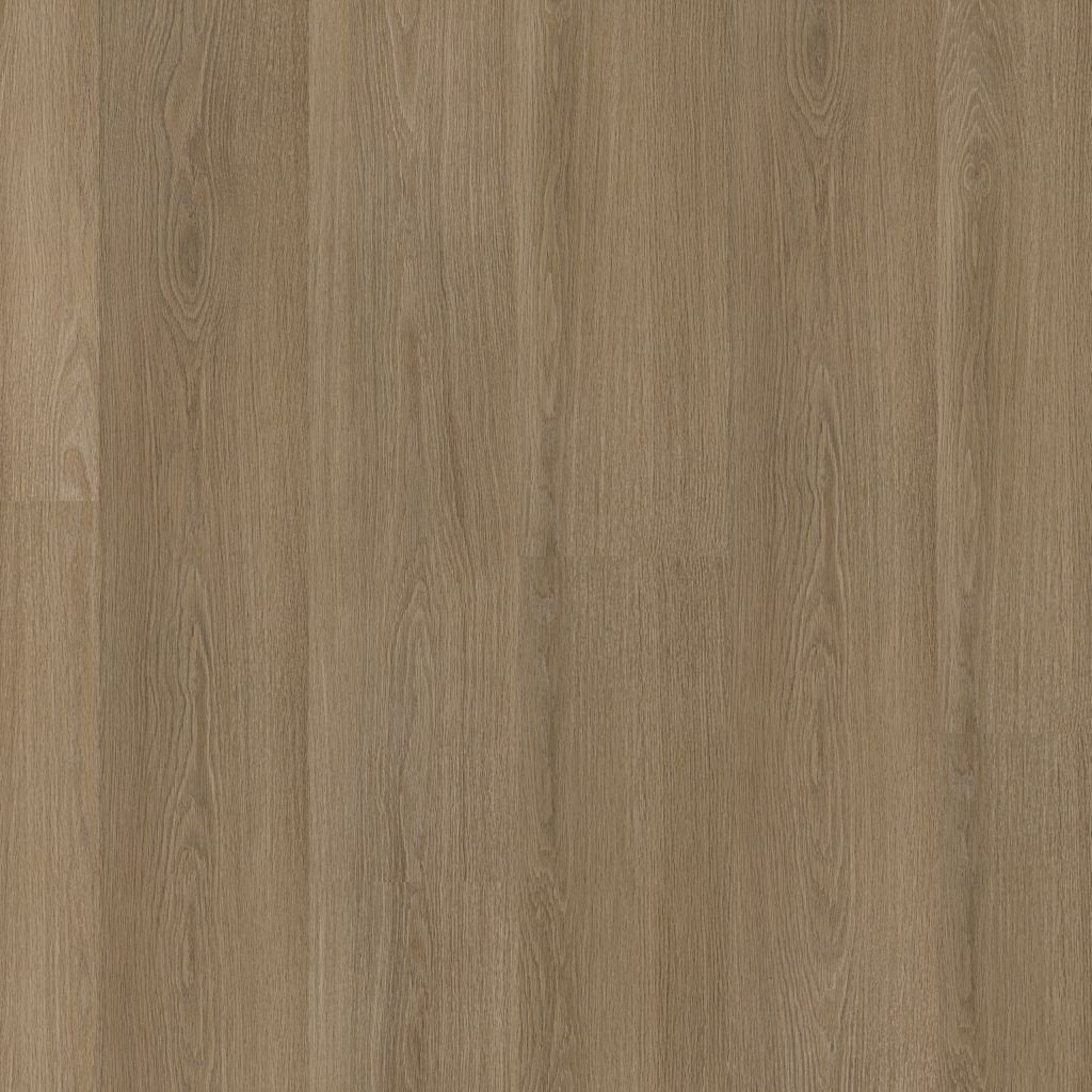 Brentford Dryback Dark Oak
