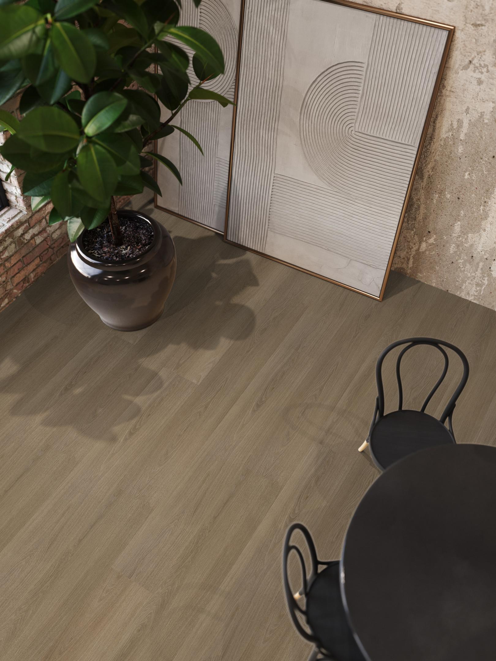 Brentford Dryback Dark Oak
