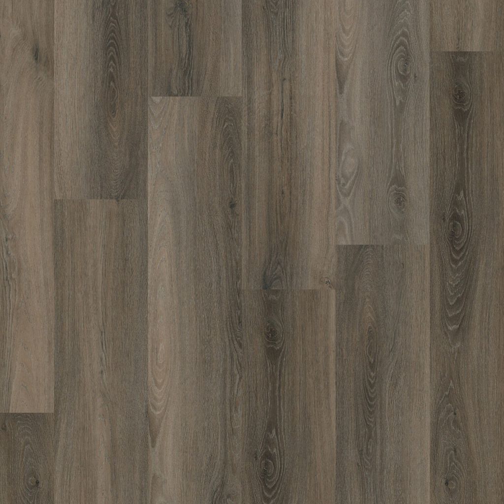 Paddington Click SRC Dark Grey