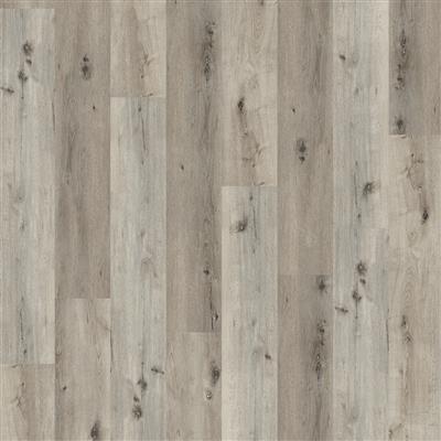 Sydney harbour click SRC smoky