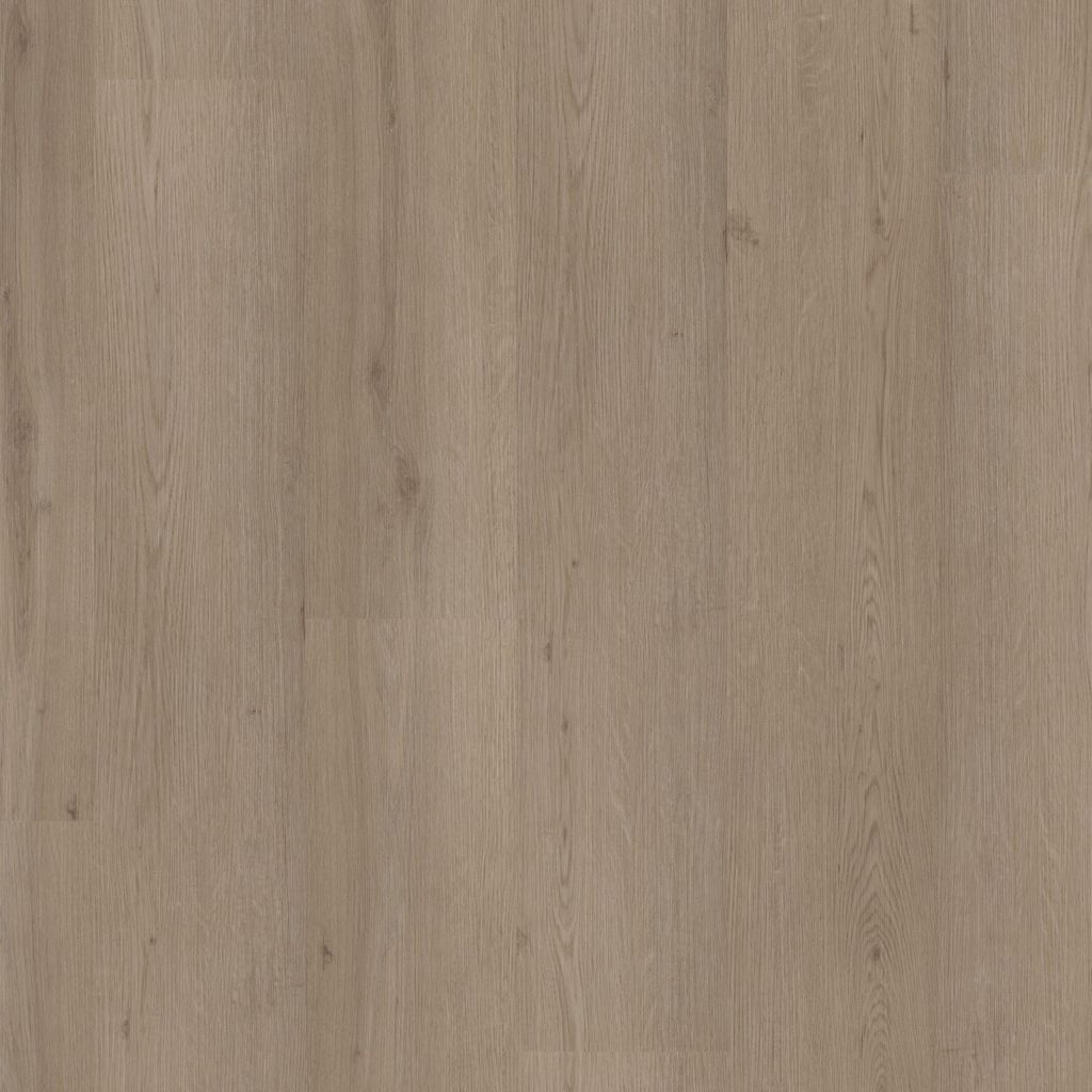 Barnet Dryback Smoky