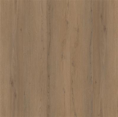 Barnet dryback dark oak