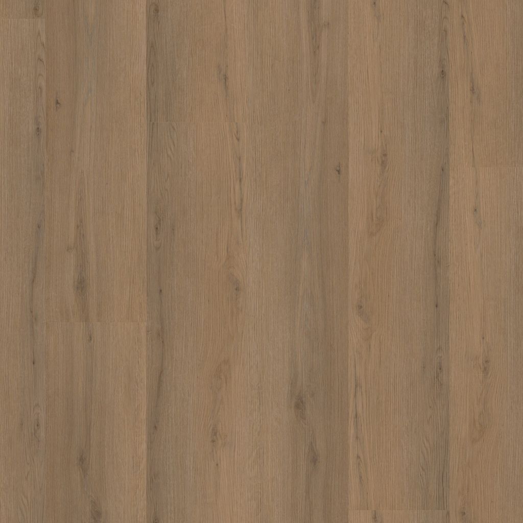 Barnet Dryback Dark Oak
