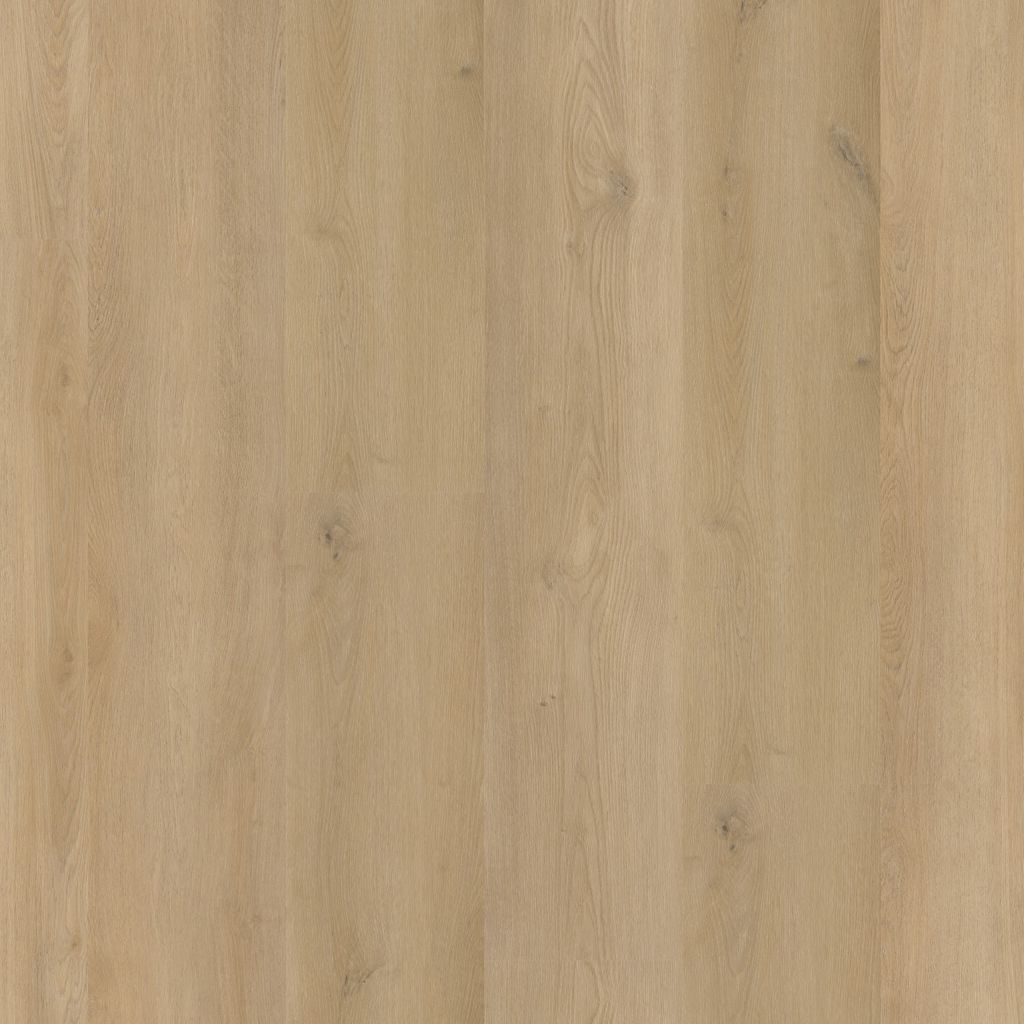 Greenwich Dryback Beige