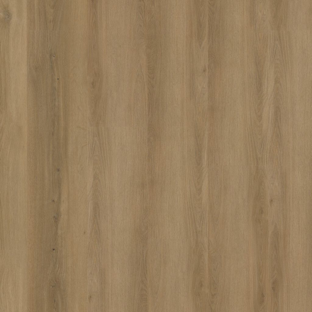 Greenwich Dryback Dark Oak