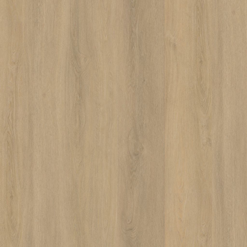 Sutton Dryback Warm Beige