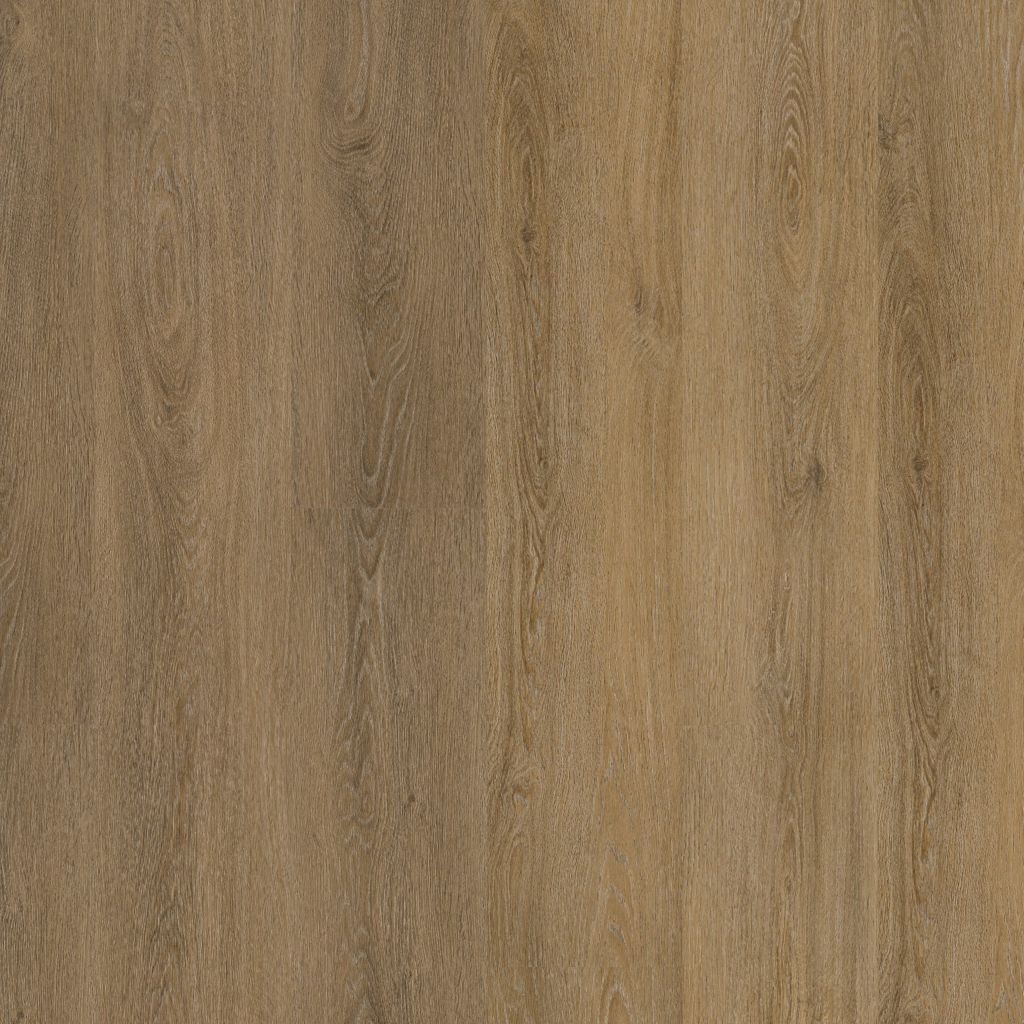 Sutton Dryback Light Brown