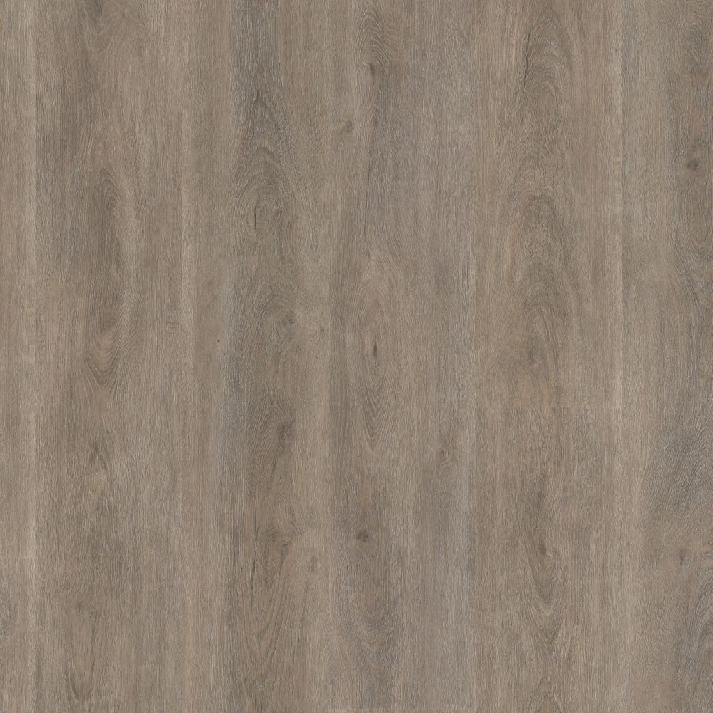 Parramatta Dryback Smoky