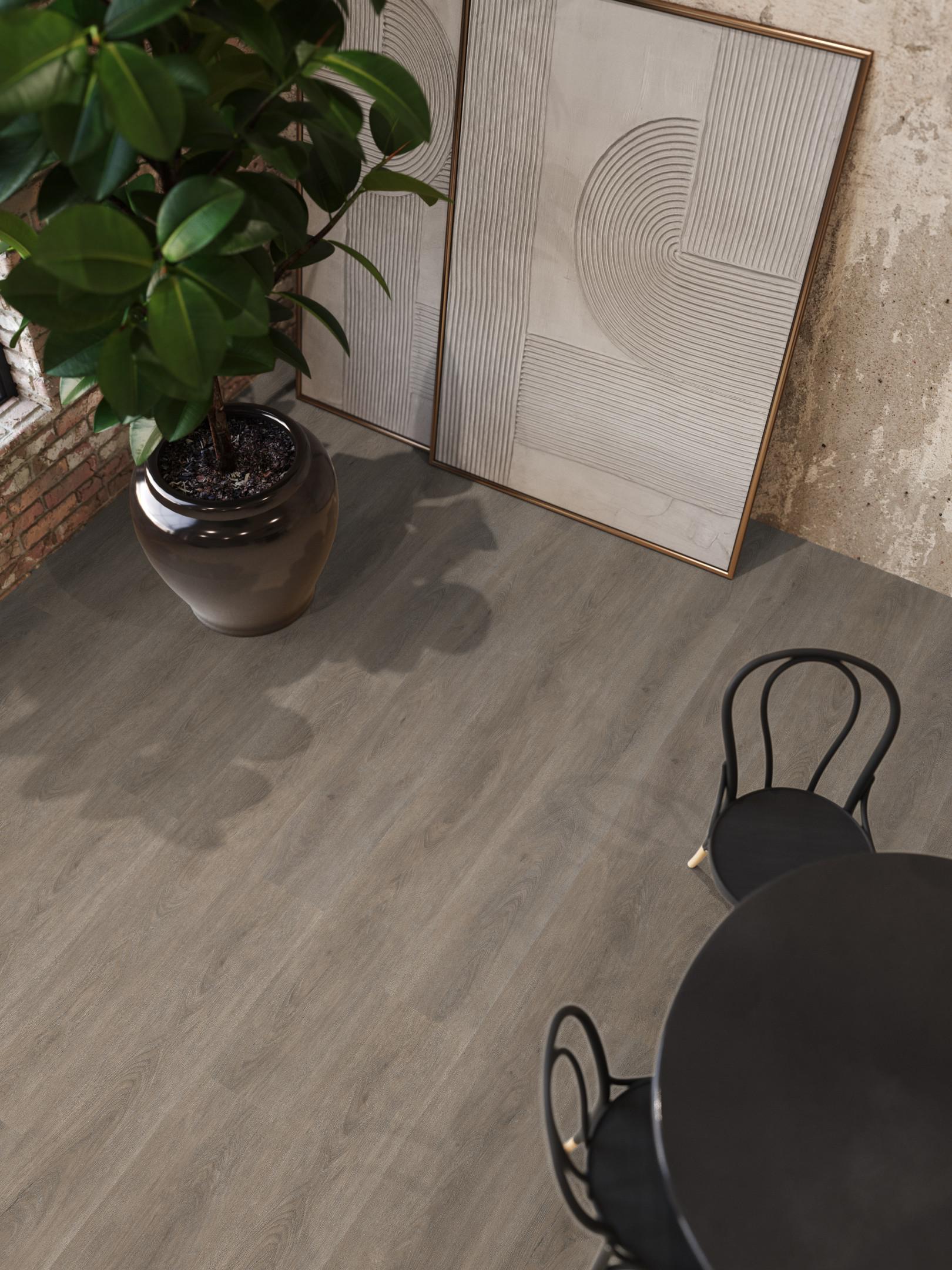 Parramatta Dryback Smoky
