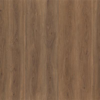 Parramatta dryback warm brown