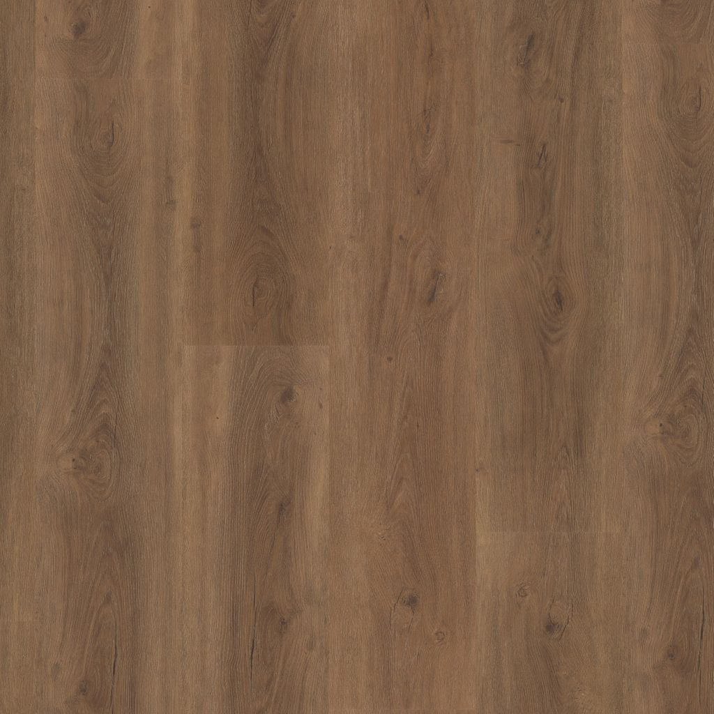 Parramatta Dryback Warm Brown
