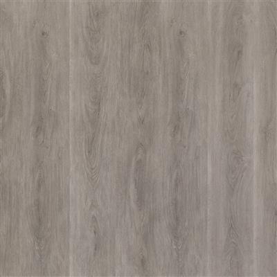 Parramatta dryback grey oak