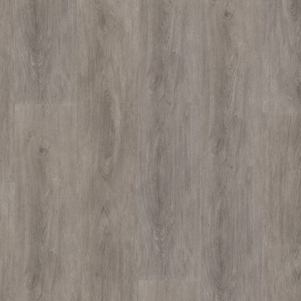 Parramatta Dryback Grey Oak
