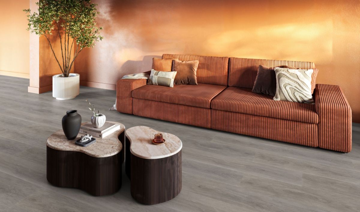 Parramatta dryback grey oak