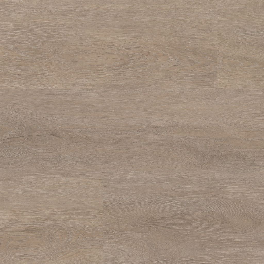 Parramatta Dryback Light Oak
