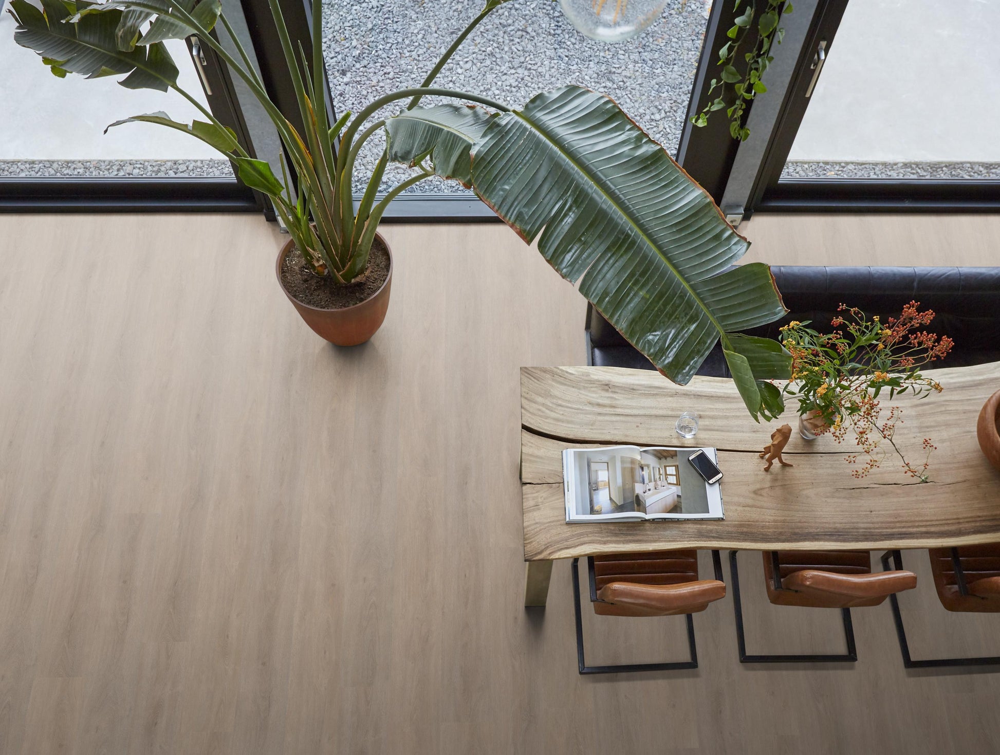 Parramatta Dryback Light Oak