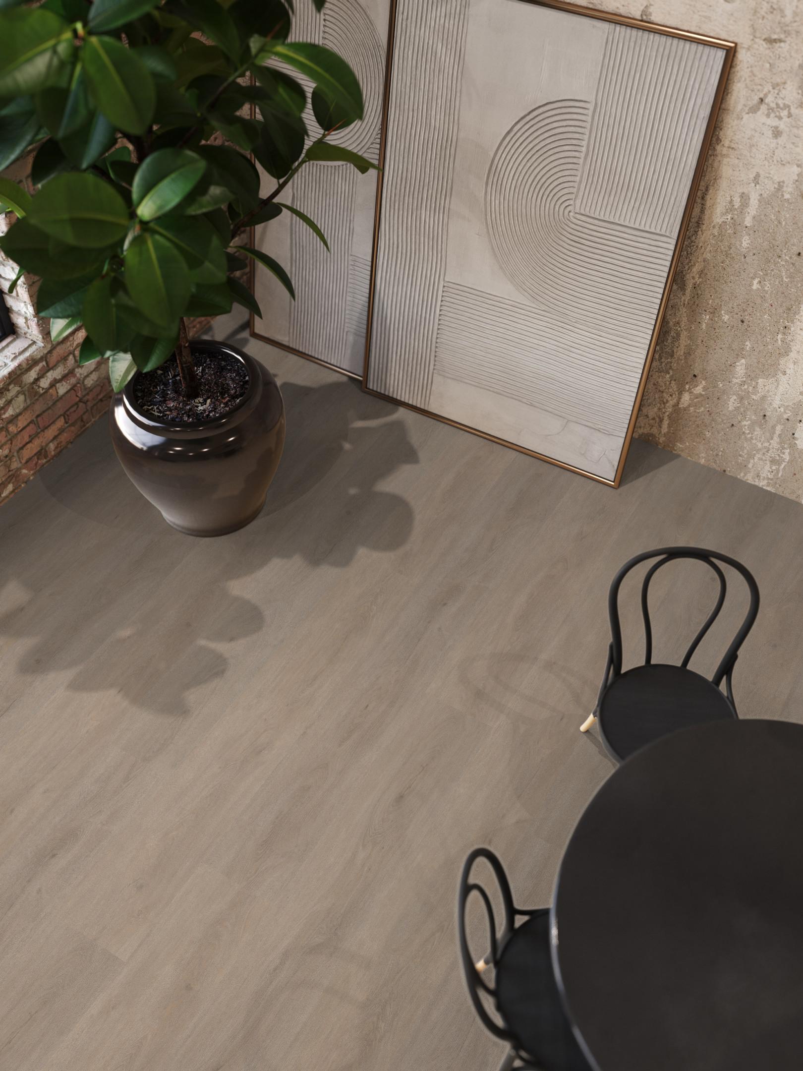 Parramatta Dryback Light Oak