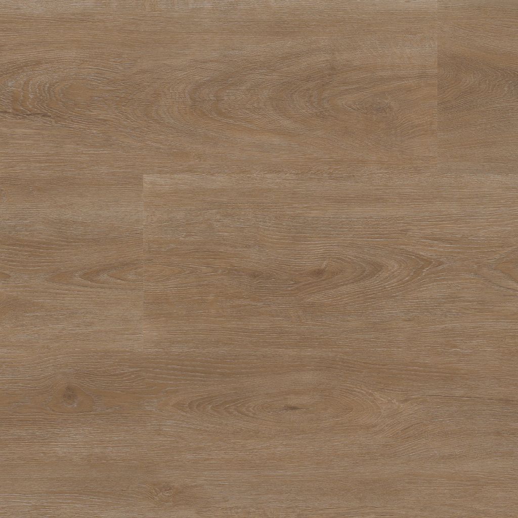 Parramatta Dryback Dark Oak