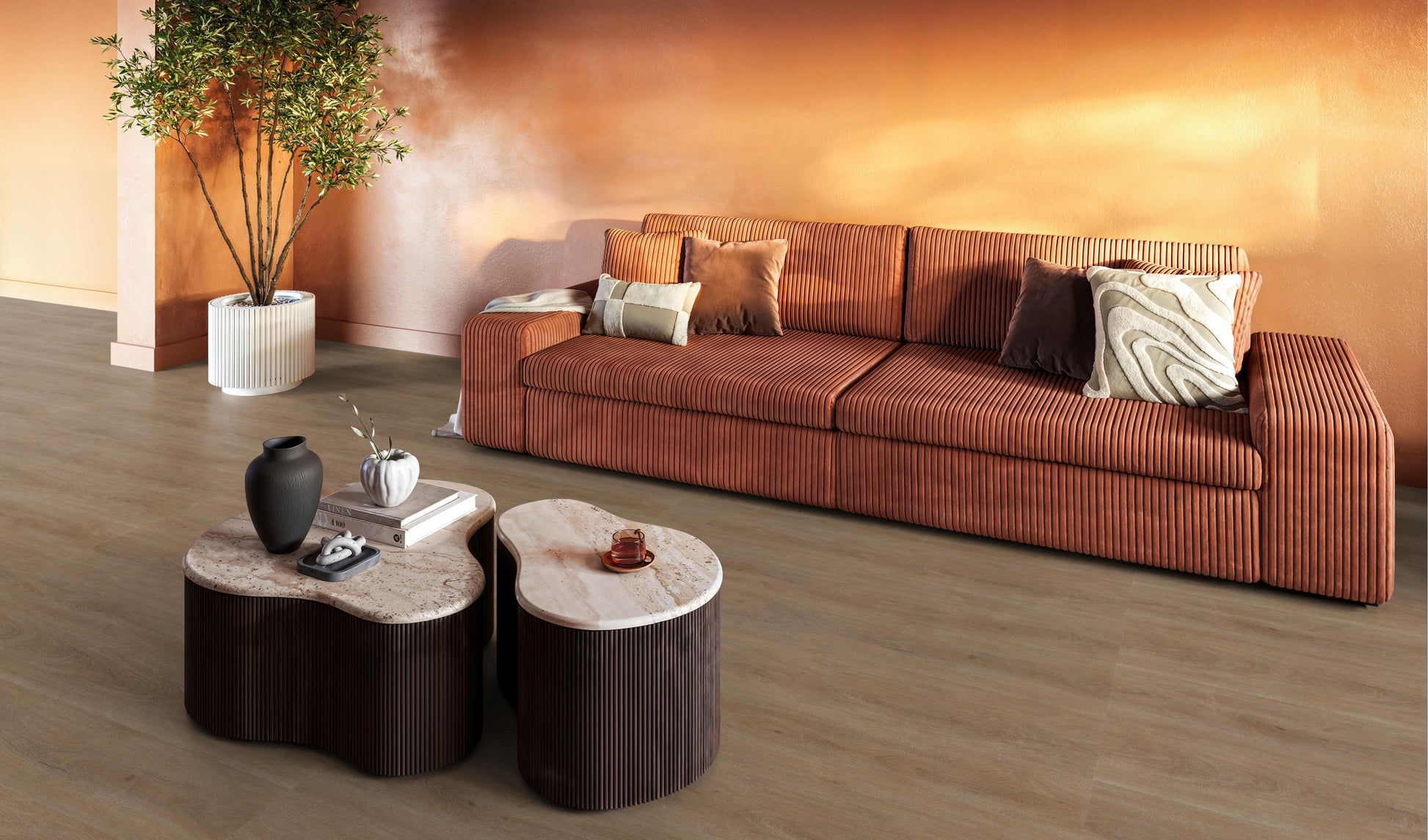 Parramatta Dryback Dark Oak