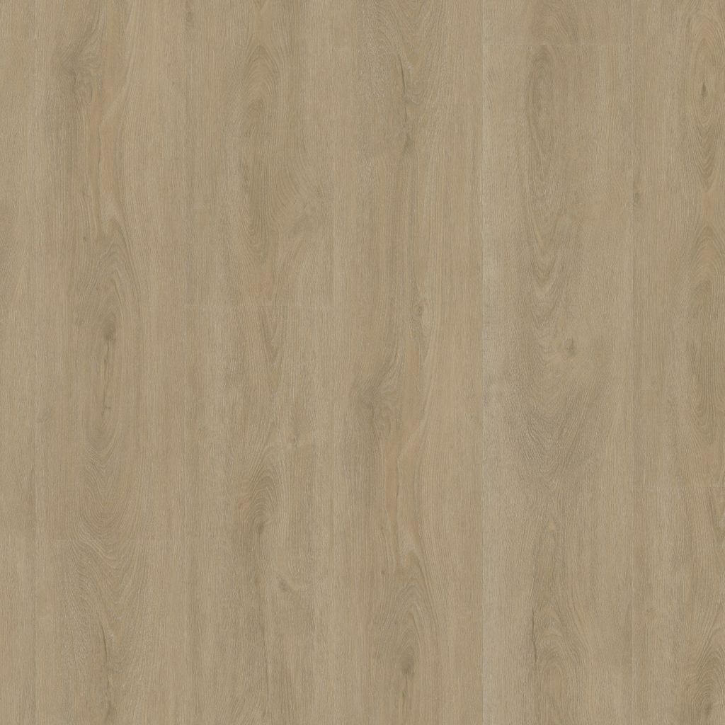 Parramatta Dryback Beige