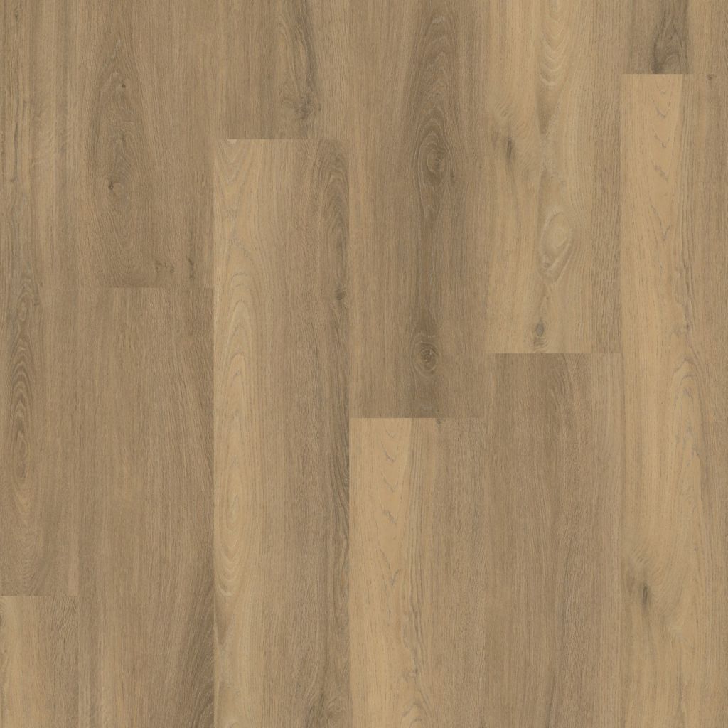 Paddington Dryback Natural
