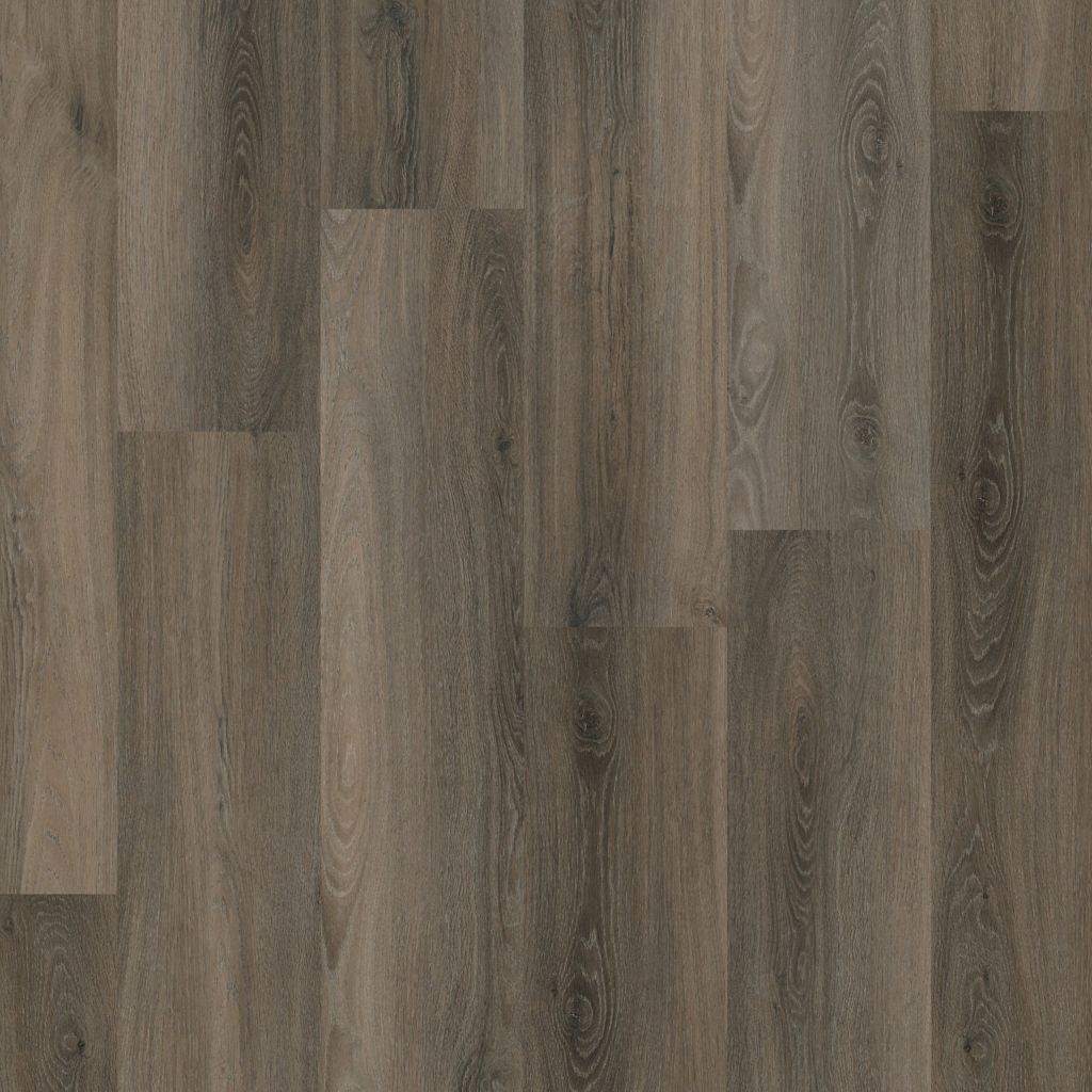Paddington Dryback Dark Grey