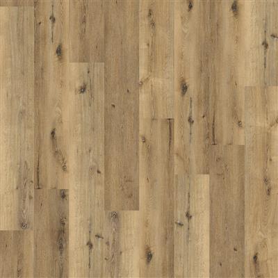 Sydney harbour dryback dark oak
