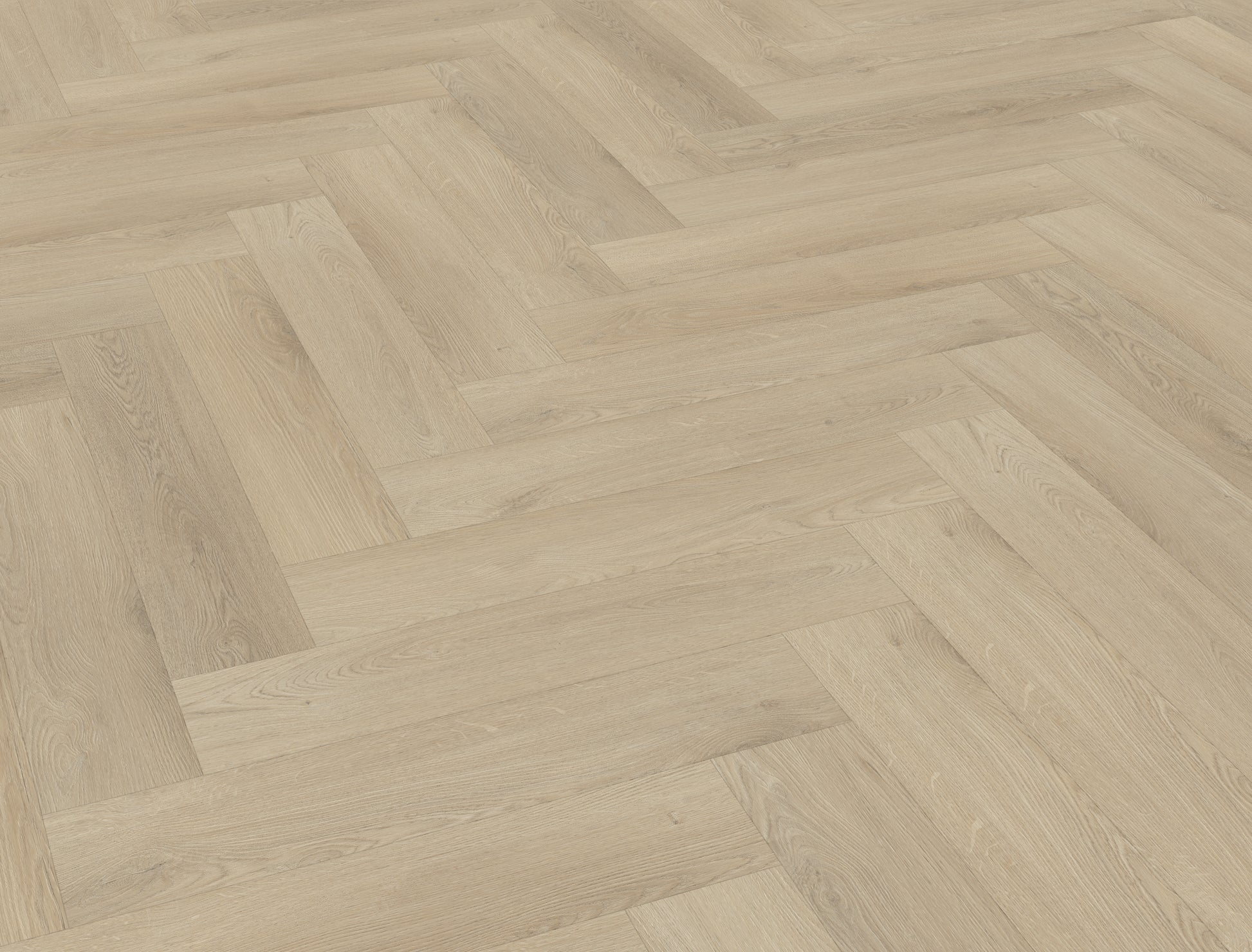 Belakos Palazzo Visgraat XL 73