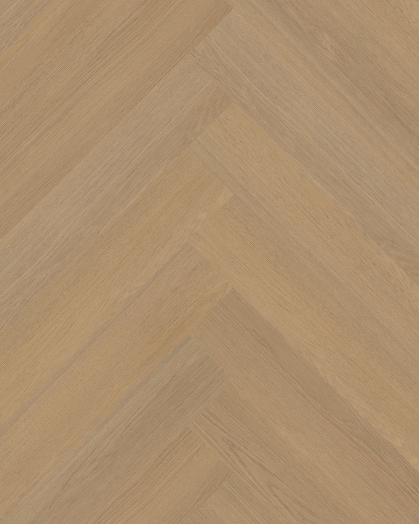 Belakos Futuro Visgraat XL 50 Rigid Click PVC