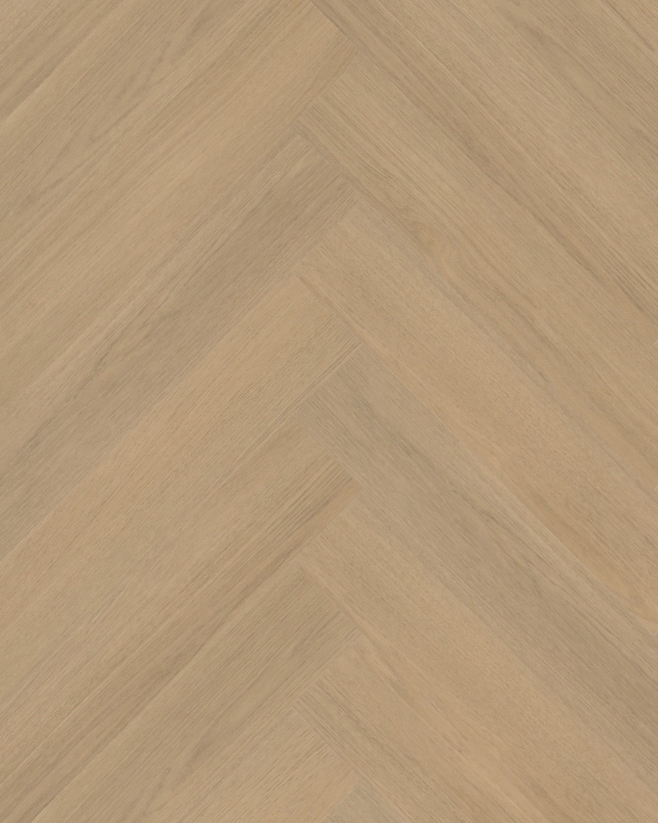 Belakos Futuro Visgraat XL 51 Rigid Click PVC