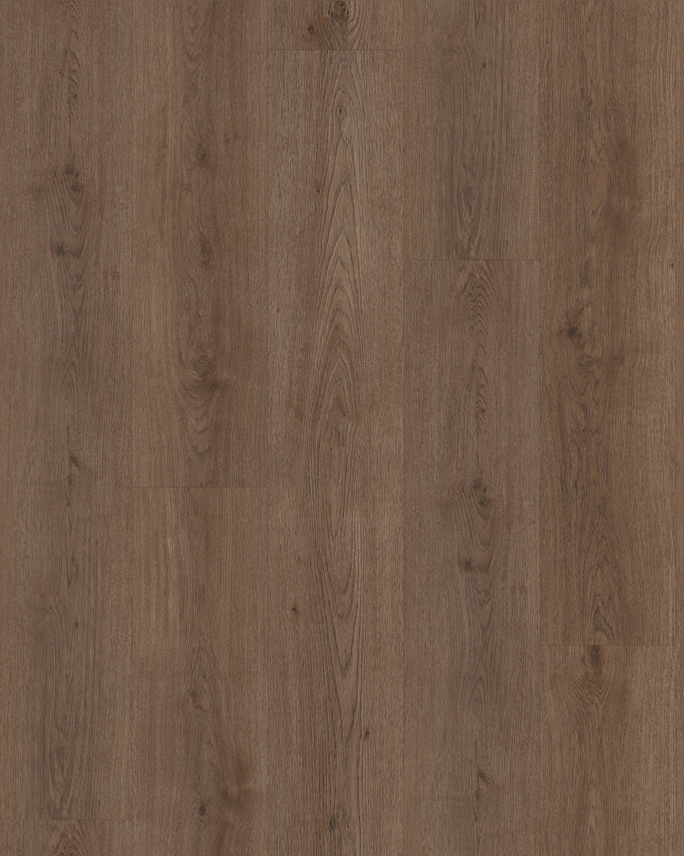 Belakos Monastro 900