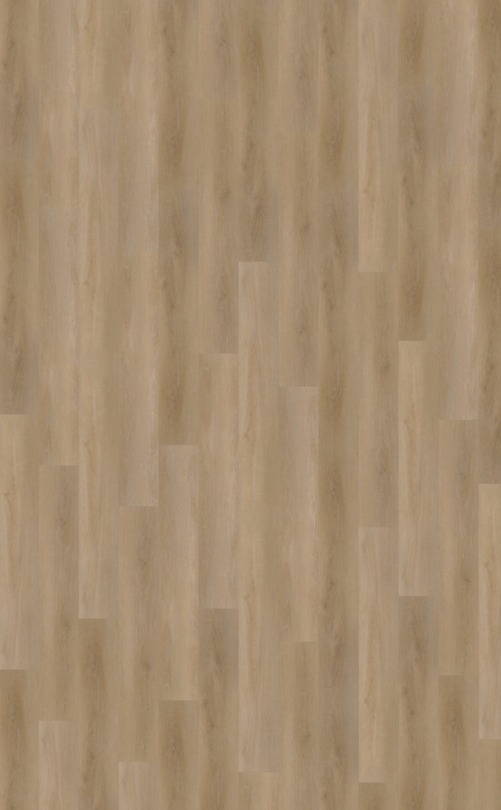 Belakos Attico 810 Rigid Click PVC