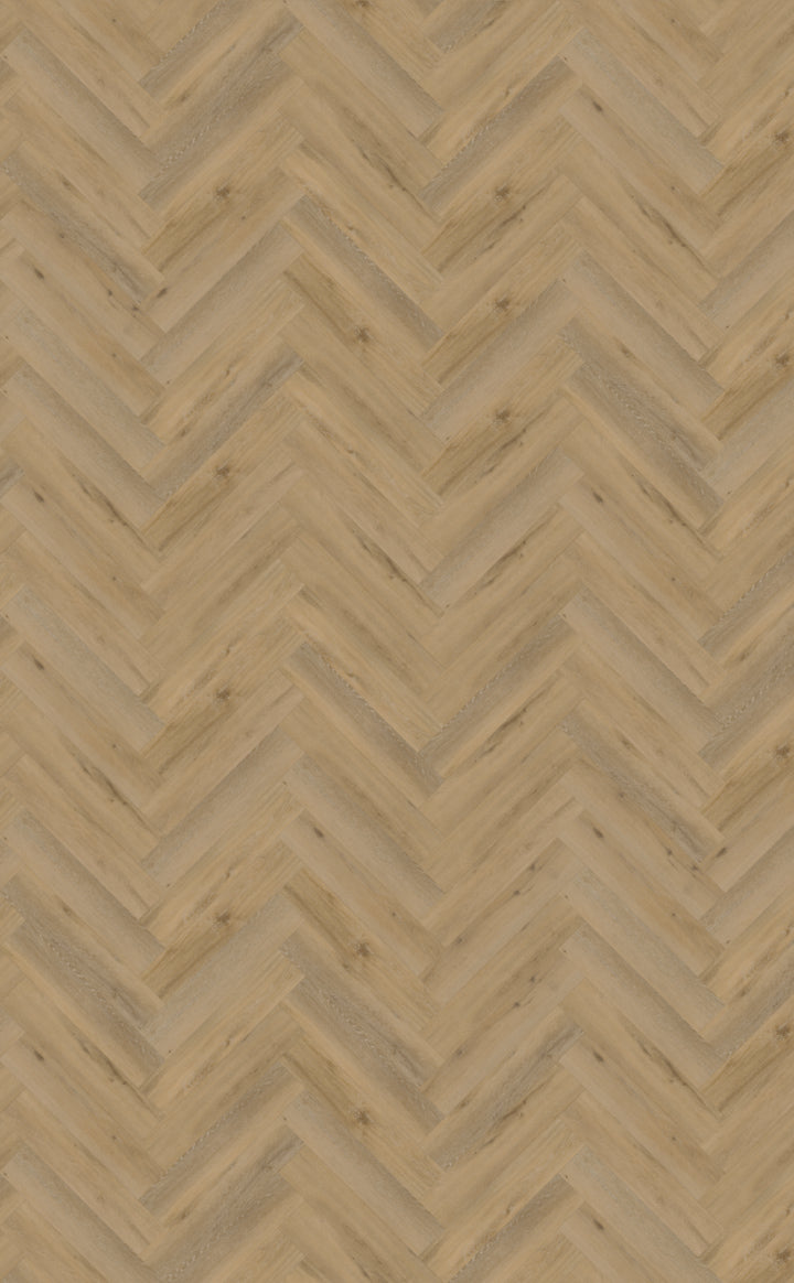 Belakos Attico Visgraat XL 80