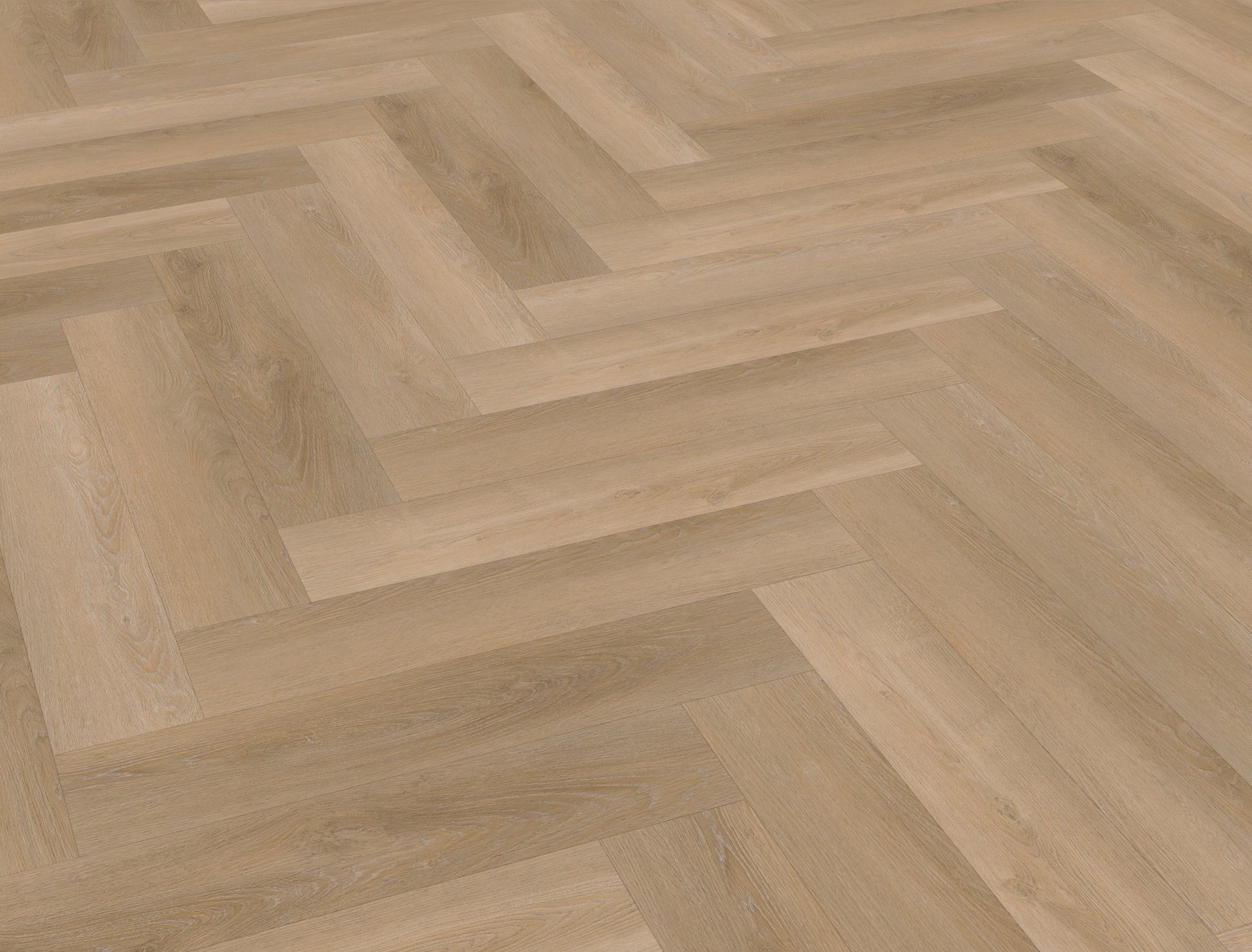 Belakos Attico Visgraat XL 81