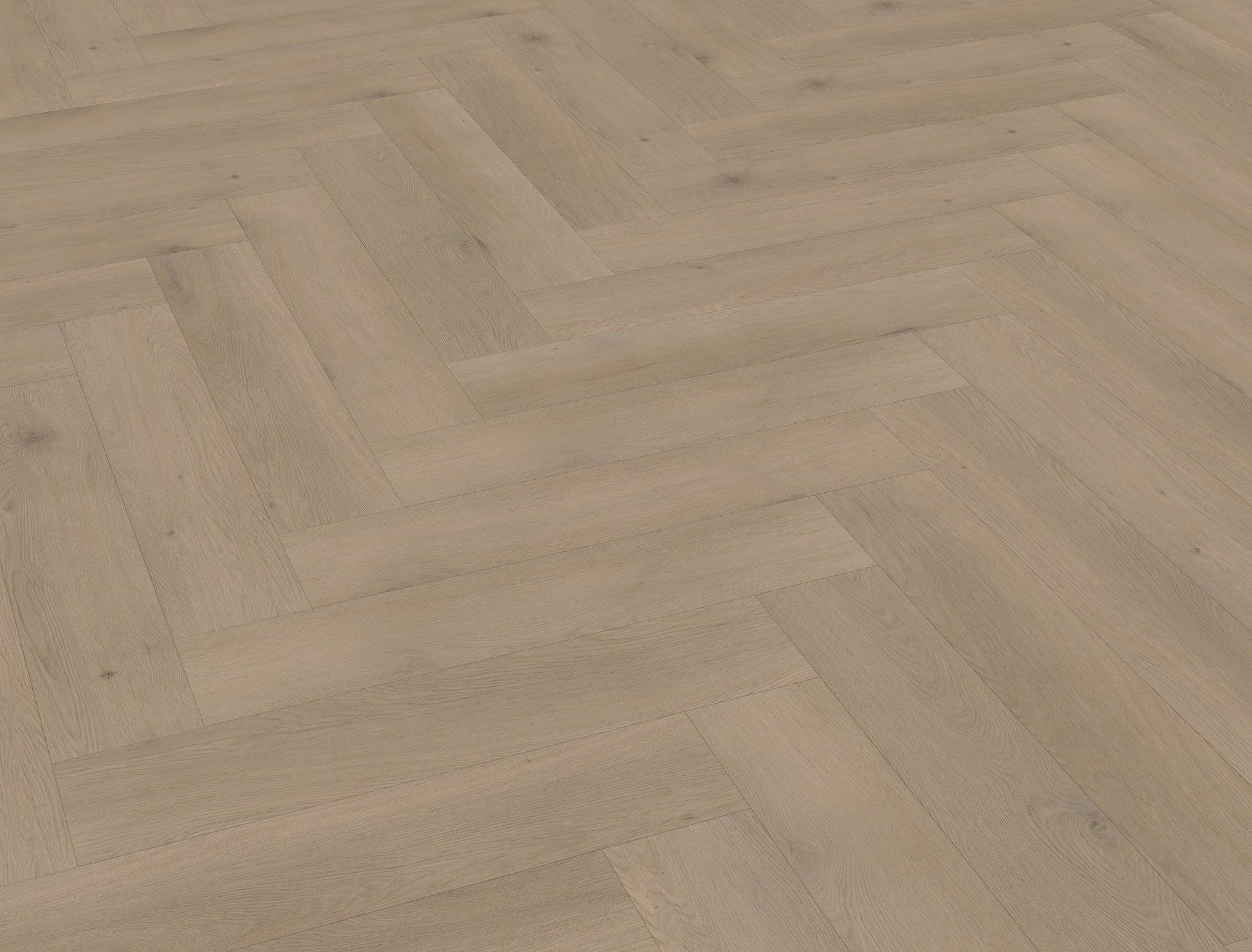 Belakos Attico Visgraat XL 82