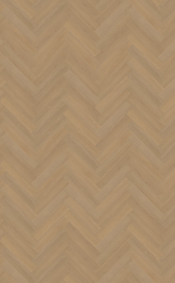 Belakos Futuro Visgraat XL 50