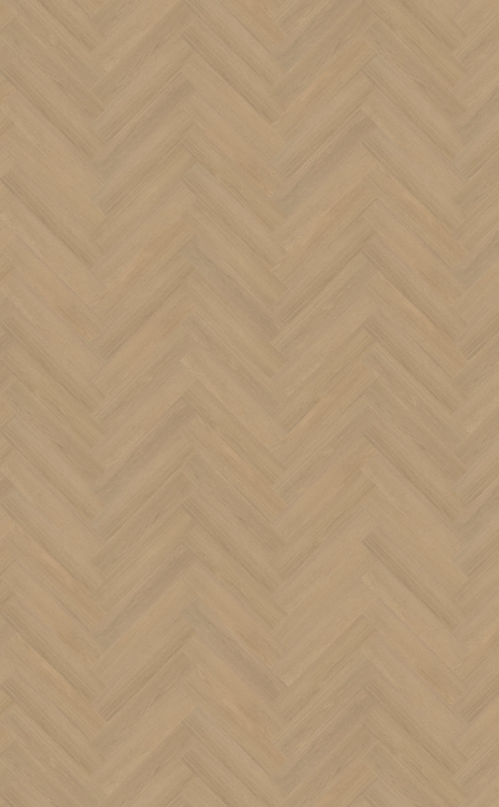 Belakos Futuro Visgraat XL 51