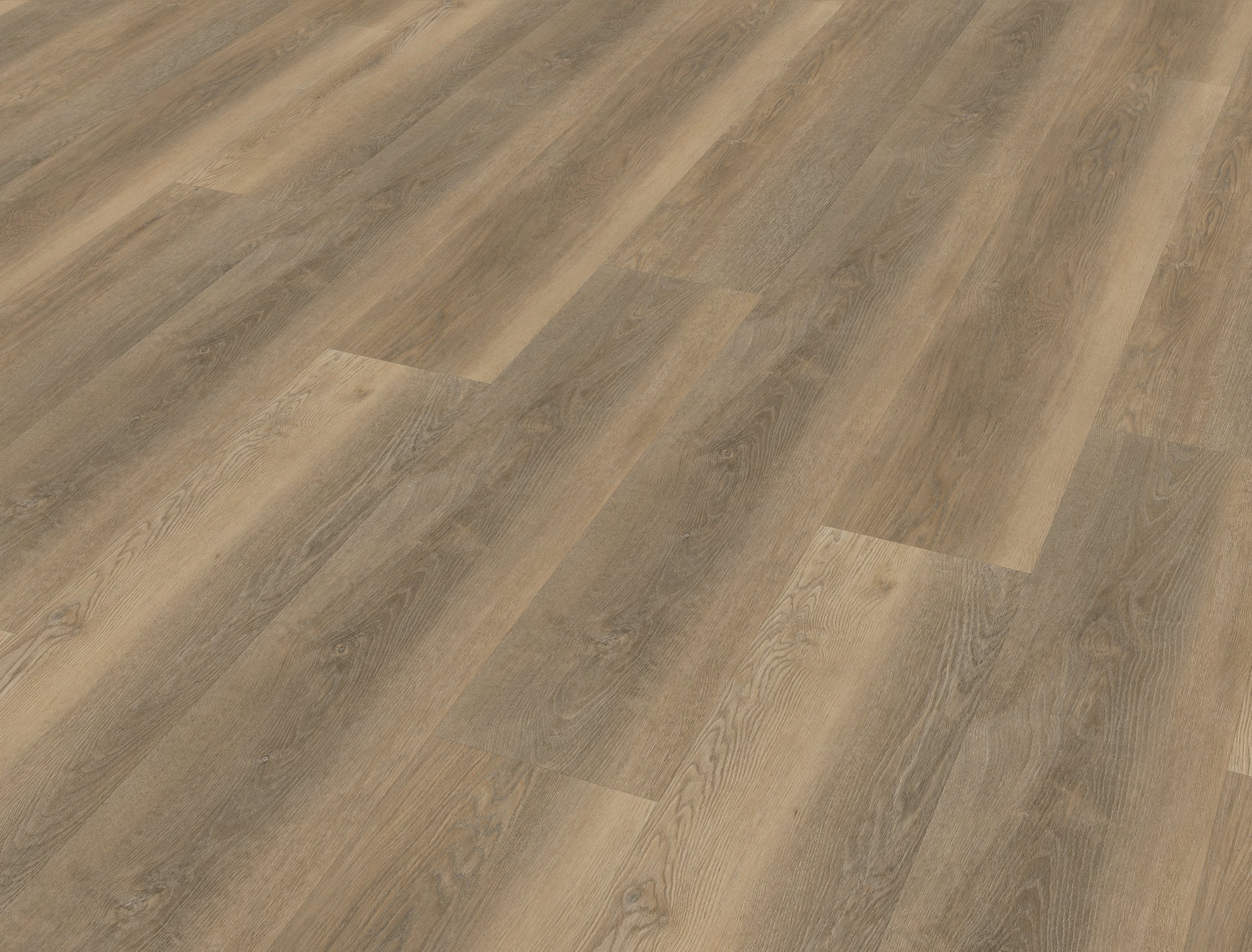 Belakos Palazzo Kleur 250