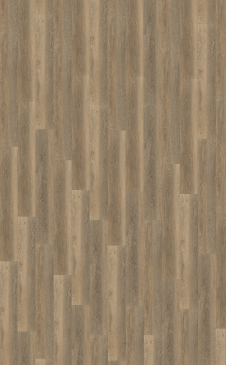 Belakos Palazzo Kleur 250