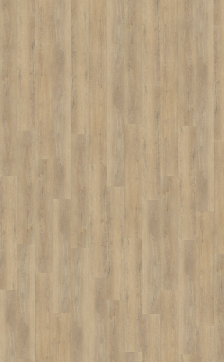 Belakos Palazzo 720 Rigid Click PVC