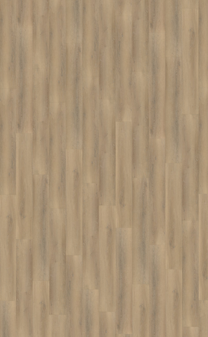 Belakos Palazzo 760 Rigid Click PVC