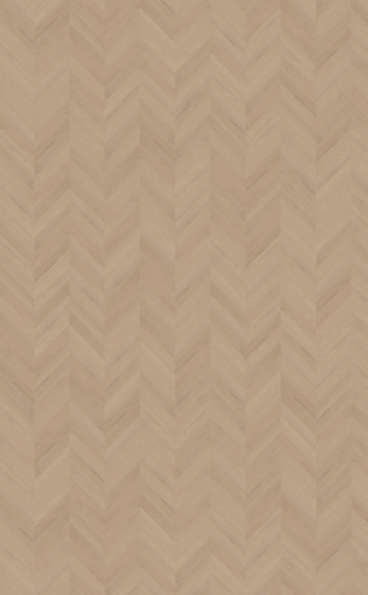 Belakos Palazzo Hongaarse Punt 77